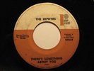 Garage Psych Mod 45 ZEPHYRS Something About ROTATE HEAR