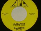 AVALONS Virginia R & B Group NPC 45 