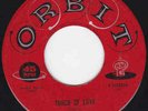 R&B Vocal Group Enchanters 45 Orbit 5328 Touch of love