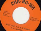 FUNK 45 RPM - D.A.B. EXPRESS on DHA-RU-WA RECORDS
