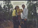 Carpenters - 