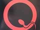 QUEENS OF THE STONE AGE Songs For The Deaf USA LP kyuss