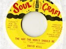 david will - way the world should be - soul craft 45