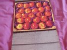 *MAGNA CARTA* WASTIES ORCHARD -  UK *SWIRL VERTIGO* LP