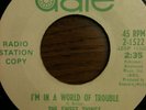I'm In A World of Trouble - The Sweet Things - Date