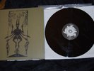 Fall of Efrafa Elil Etched  2x 12