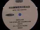 HAMMERHEAD Into The Vortex AMPHETAMINE REPTILE LP