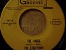 Funk, Exceptions, The Shagg,Groovey Grooves,# 167, M-