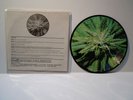 RUPTURE / BRUTAL TRUTH pic 7