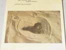 Art LANDE & RUBISA PATROL:   Desert Marauders