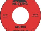 RANDY FULLER Pop & Rock MUSTANG 45 #3020 MINT