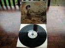 Warm Dust Peace For Our Time Rare LP