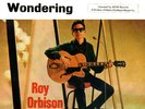   RARITÄT    ROY  ORBISON  mit Original-Cover.