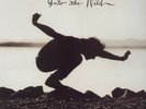 EDDIE VEDDER-PEARL JAM--LP-INTO THE WILD+BONUS+BOOK