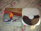 Shook Ones Sixteen LP vinyl pop punk kid dynamite