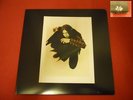 MORTIIS Crypt of the Wizard LP HANDMADE Burzum Emperor