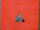 ANIMAL COLLECTIVE HOLLINNDAGAIN Black Dice RARE OOP LP