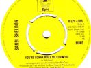 SANDI SHELDON - YOU'RE GONNA MAKE ME LOVE YOU, UK Epic
