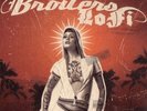 Broilers Lofi LP rot selten Oi