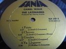 THE LATINAIRES, MONSTER BOOG-GUAJIRA, PSYCH. ORIG. HEAR