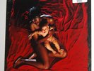 Afghan Whigs congregation 1992 LP subpop 1st Print MINT