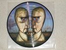 PINK FLOYD....THE DIVISION BELL   SUPERB PICTURE  DISC