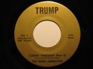 Funk 45 MIND LIBERATORS on TRUMP Comin Through HEAR