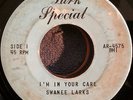 SWANEE LARKS - rare PRIVATE GOSPEL 45 - LARK SPECIAL