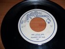 FRANKIE LEE SIMS Hey Little Girl RARE ACE BLUES ROCKER