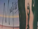 The Kinks-