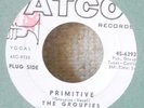 NY Garage Punk MONSTER-Groupies-Primitive-Atco-PROMO