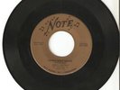 Jerry Siefert Indiana Rocker Rockabilly 45 Never Say..