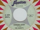 The Quests SCREAM LOUD Psychic FENTON Rare Garage PUNK