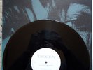 my bloody valentine Feed Me With Your Kiss 12