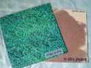 LIVING MUSIC   to Allen Ginsberg     LP   PROGRESSIVE