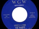 WERPS garage fuzz 45 WGW “Love’s a Fire” NM- HEAR