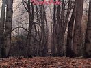 TWINK Think Pink French LP SIRE PSYCH