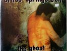 SPRINGSTEEN Ghost of Tom Joad RARE Vinyl SHRINK  NM 