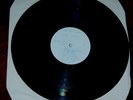 The Jesus and Mary Chain Test Pressing(Rare,KBD,Punk)