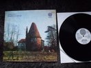 DADDY LONGLEGS oakdown farm vertigo swirl krautrock