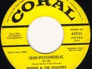 Pepper & The Shakers '67 MI tuff doomy fuzz psych HEAR