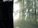 BURZUM *BELUS* DLX LIMITED ED. 180G GATEFOLD NEW 2 LP