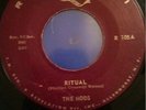 Mods - Ritual [1965] 60's NJ Garage Punk