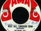 WAYMOND HALL What Will Northern Soul Funk 45 APOLLOS