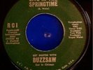Buzzsaw - I Live in the Springtime [1972] 60's Garage