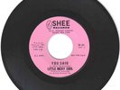 RARE NORTHERN SOUL 45 - Little Nicky Soul on Shee 101
