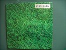 RARE-FREEDIMENSION-LIVING MUSIC TO ALLEN GINSBERG-RCA-