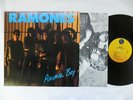 RAMONES LP : Animal Boy, w/ Inner Sleeve, 1986 NM