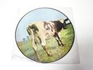 PINK FLOYD-ATOM HEART MOTHER-LP/RECORD