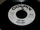 Rare Shelley Fabares 45 RPM Promo 